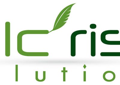 ALC Risk Solutions logo